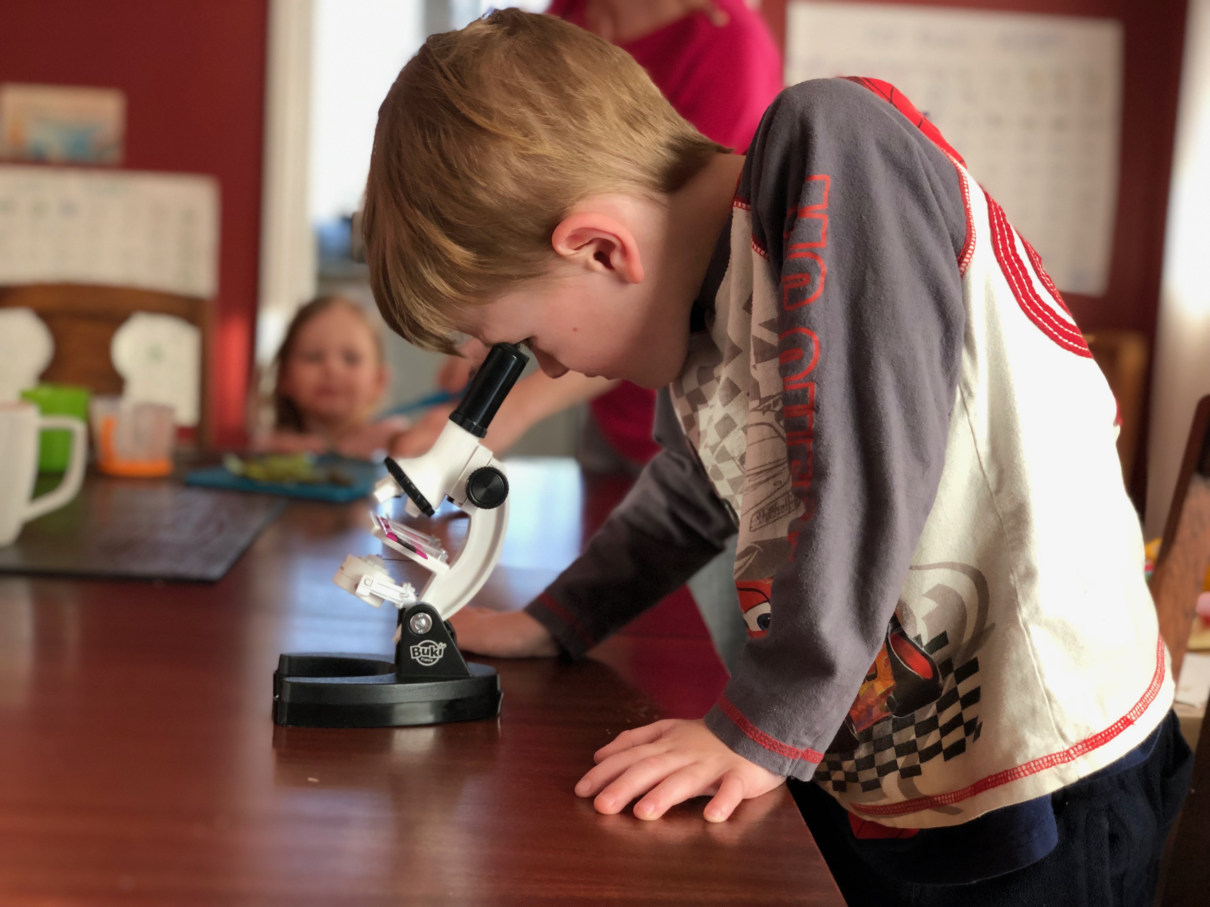 A young boy looks through a microscope