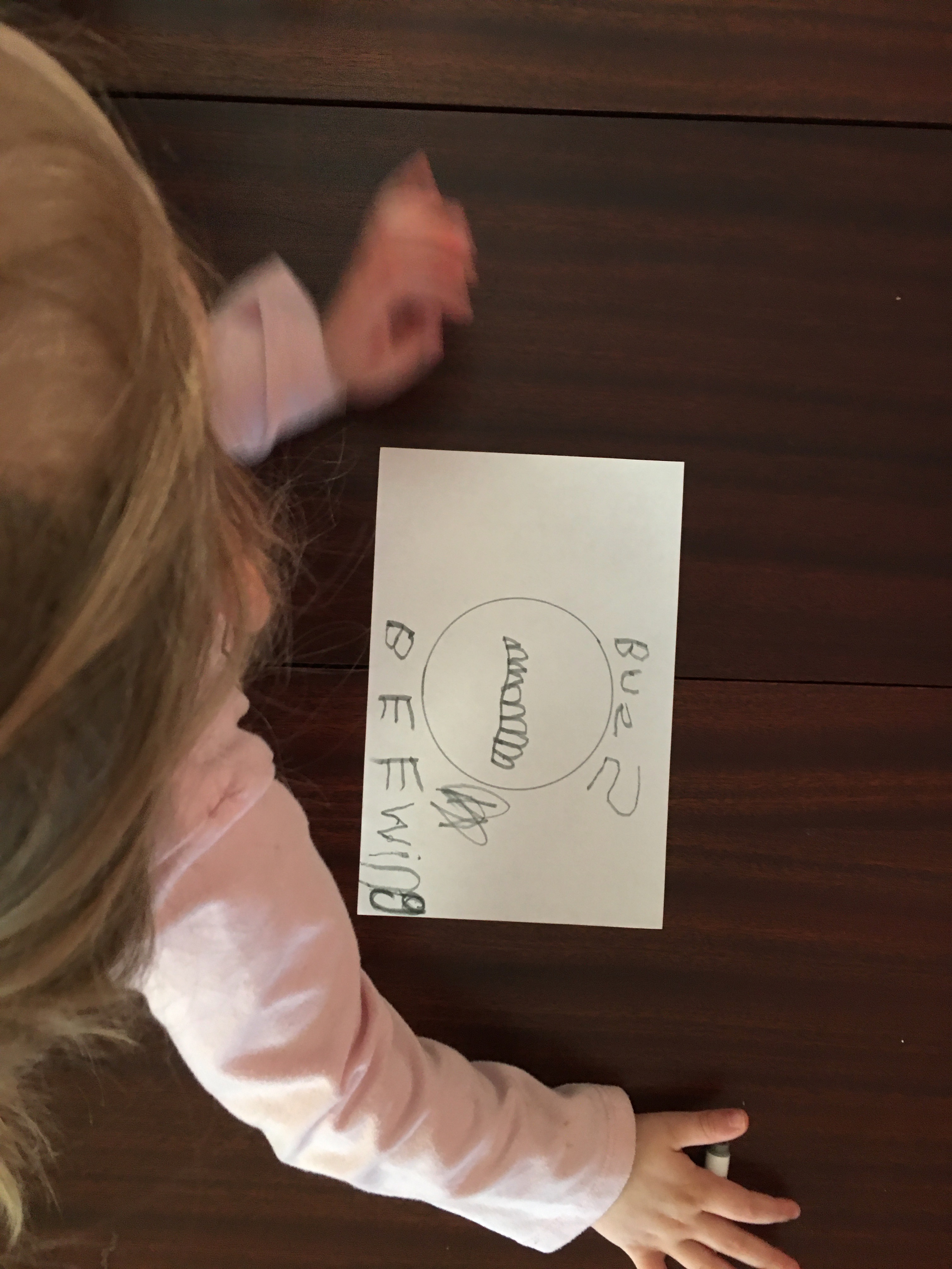 A young girl sits, with head turned away. A sheet of paper with a child's microscope drawing of a bee wing sits in front of her, with the words Bee Wing Buzz written across the paper.