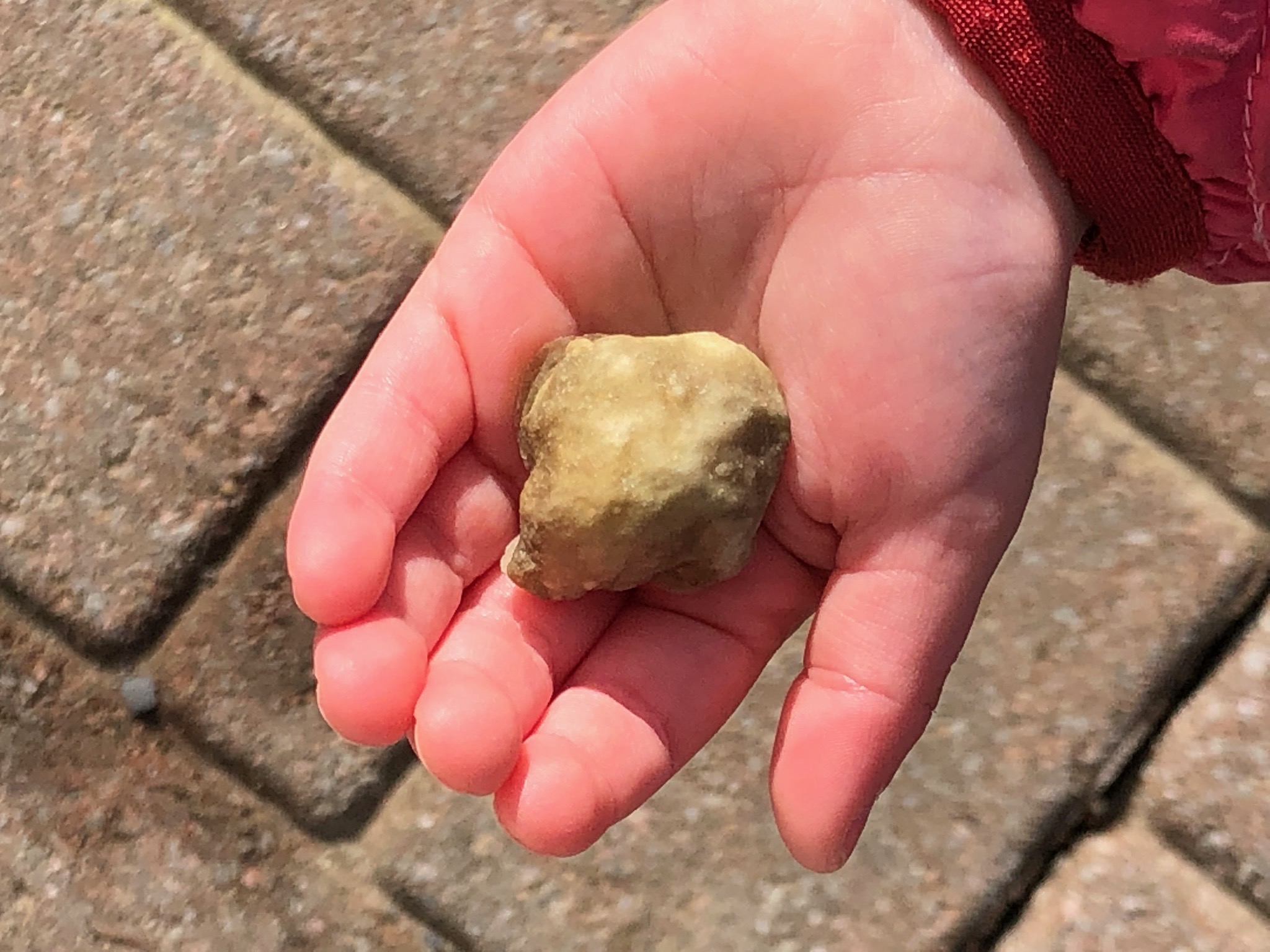 A child's hand holds out a crafted moon rock in their open palm