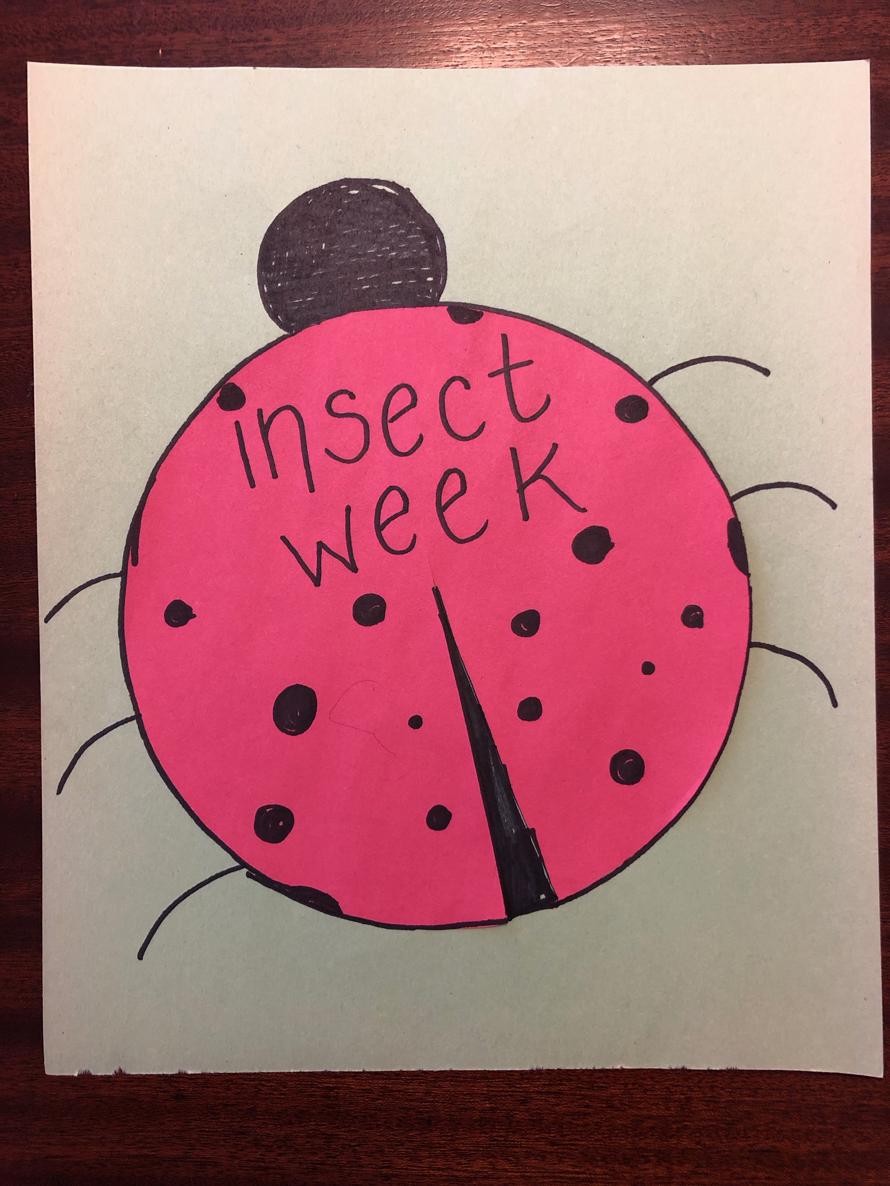 A paper ladybug made from red construction paper with the words insect week written across it
