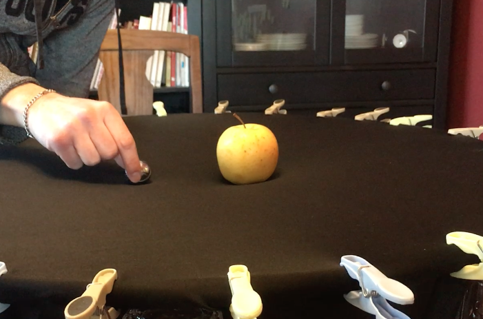 A golden delicious apple sits in the middle of a black piece of fabric stretched across a hula hoop. A hand is seen holding a small metal bocce ball a few inches away from the apple.